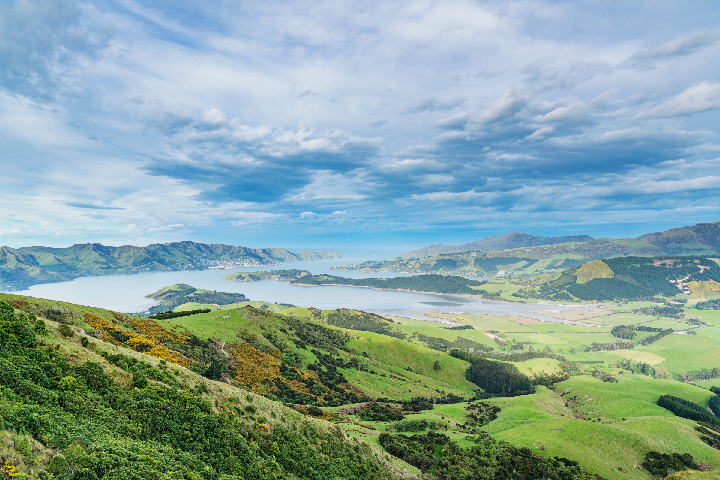 christchurch airport (4).webp
